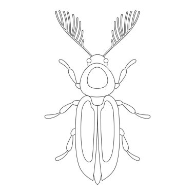 Bıyıklı böceğin boyama kitabı