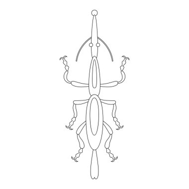 İnce yeşil böceğin boyama kitabı