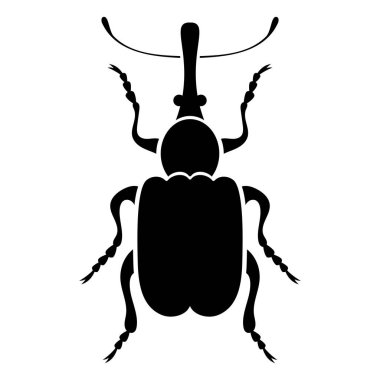 Vector black silhouette of bug isolated on white background. Doodle insect. Nature and biodiversity insect specie. Simple illustration of beetle icon for web.