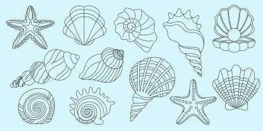 Koleksiyon el yapımı deniz kabukları. Minimalist eski denizci hatları. Kolaj estetiği. Moda baskılar, davetiyeler, menü kapakları için yaz kıyı tasarımı unsurları. Tropik plaj kabukları.