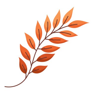 Sonbahar turuncu dallı Rowan. Düşen yapraklar. Renkli sonbahar yaprağı desen, bayrak, çıkartma. Merhaba sonbahar. Beyaz arkaplanda düz vektör illüstrasyonu.