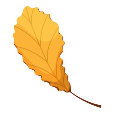 Sonbahar renginde renkli bir yaprak. Düşen yapraklar. Renkli sonbahar yaprağı desen, bayrak, çıkartma. Merhaba sonbahar. Beyaz arkaplanda düz vektör illüstrasyonu.