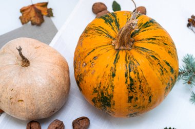 Balkabağı masada sonbahar iç dekorasyon, fındık, yaprak ve köknar dalı