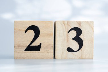 Rabbits and child playing with farm pets