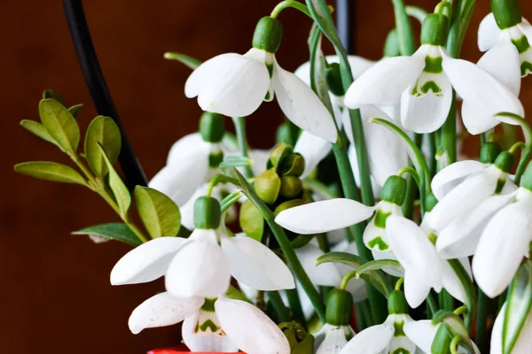 Snowdrop flower, bouquet of flowers in composition with copy space on elegant drapery background