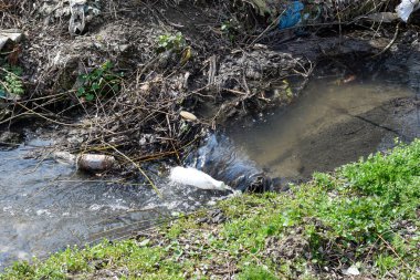 Doğa parkındaki pınardan dökülen atık ve kirlilikle akan su.