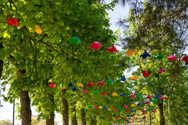 stock image Trees decorated with garlands of colored lamps in public park in summer