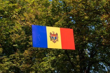 Moldova Cumhuriyeti 'nin devlet bayrağı halka açık alanlarda, sokaklarda, yapraklı ağaç dallarının arka planında göndere çekilmişti..