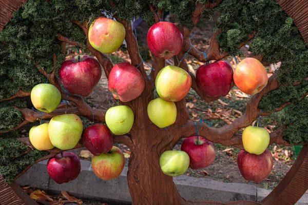 Doğal elmalı dekoratif ağaç. Sebze dükkanı için dekorasyon.