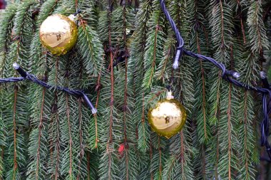 Altın topları olan Noel ağacı arka planı