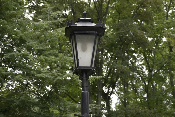 12. Single lamp in the park