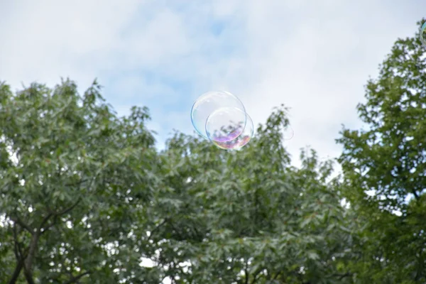 stock image 10. Two soap bubbles in the park