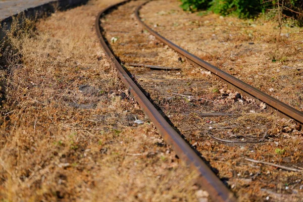 Eisenbahn Gleise Und Getrocknetes Gras — Stockfoto
