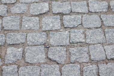 Yerde gri kaldırım taşları var.