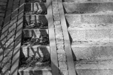 Gri granit kaldırım ve yapraklar