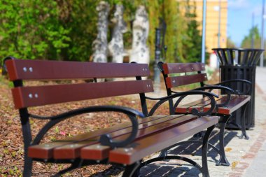 Kahverengi banklar kaldırımda