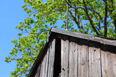 Ahşap çatı kaplaması ve renkli arkaplan
