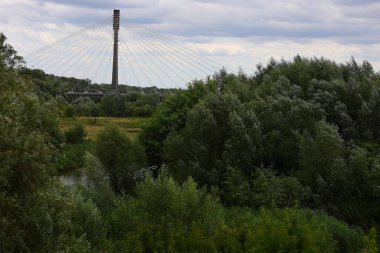 Yeşil ağaçlar arasındaki asma köprü