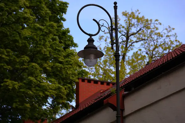 Bir sokak lambası ve binanın çatısı.