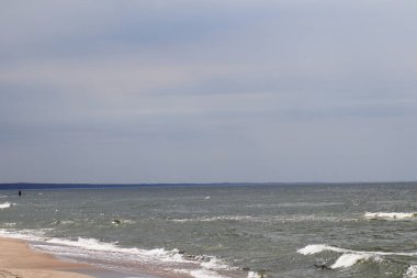 Deniz kıyısından uzaklaşan beyaz bir martı.