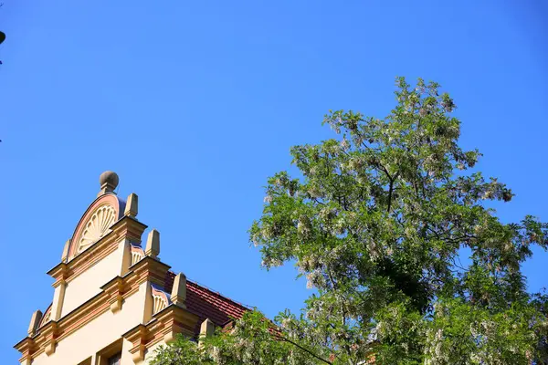 Yeşil çiçekli ağaç ve binanın tepesi.