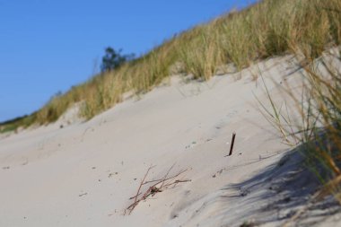 Kumulun kenarına sıkışmış kahverengi bir çubuk.