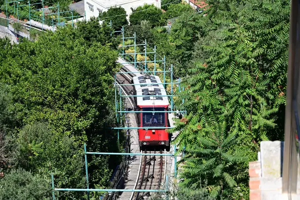 Yeşil ağaçlar arasında kırmızı bir hız treni