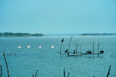 Gölün güzel manzaralarına