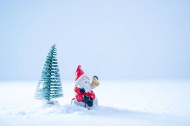 Noel arkaplanı kar ve köknar ağacı.
