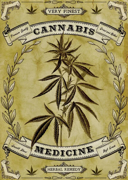 Cannabis Medicine Ziołowa Remedy Weed Marijuana Vintage Poster Art — Zdjęcie stockowe