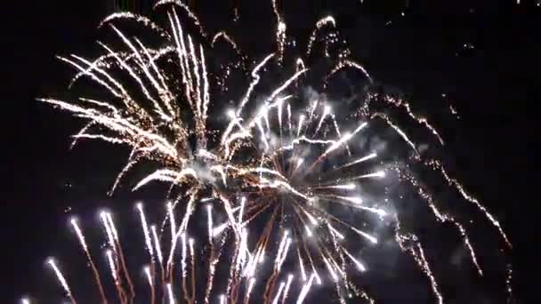 Celebración Fuegos Artificiales Multicolores — Vídeos de Stock