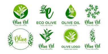 Zeytin logo simgesi seti. şablon vektör tasarımı