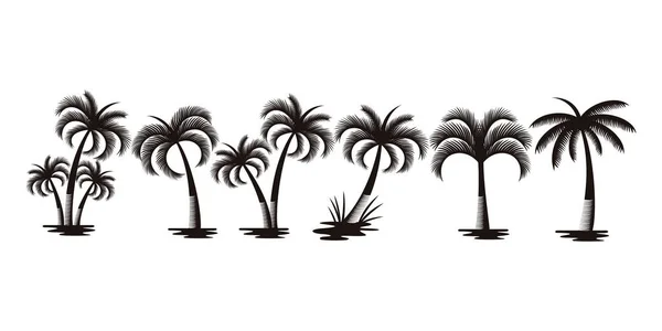 棕榈树或椰树标识图标设置 收集棕榈树及椰子树的剪影 — 图库矢量图片