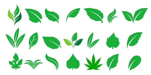 Collection Leaf Logo Template Logo Design Vector — Stock Vector