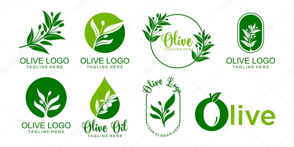 Olive logo icon set . template vector design