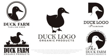 Ördek simgesi logo vektör çizim şablonu