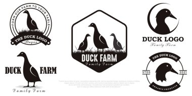 Ördek logosu. Ördek çizimi. Kaz simgesi.