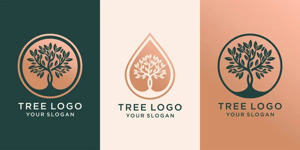 Набор Логотипа Дерева Капель Воды Сочетании Деревом Дизайн Логотипа Premium Лицензионные Стоковые Иллюстрации