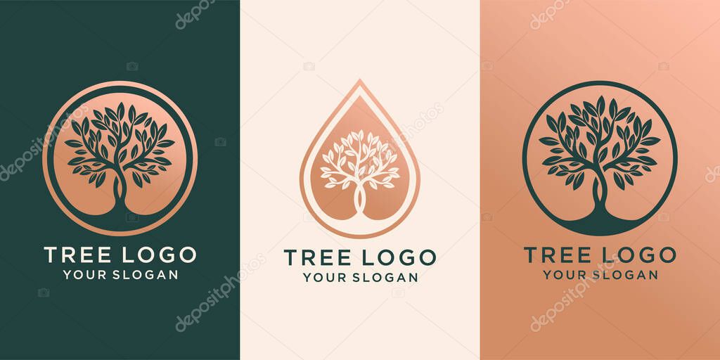Set of logo tree and Drops or water combined with tree. logo design Premium Vector