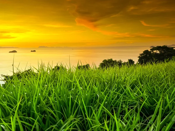 stock image Amazing natural landscape in sunset light. Fresh green grass meadow and bright orange sky. Tropical island coast view point from Samui, Thailand. Beautiful nature landscape. Travel, tourism, holiday