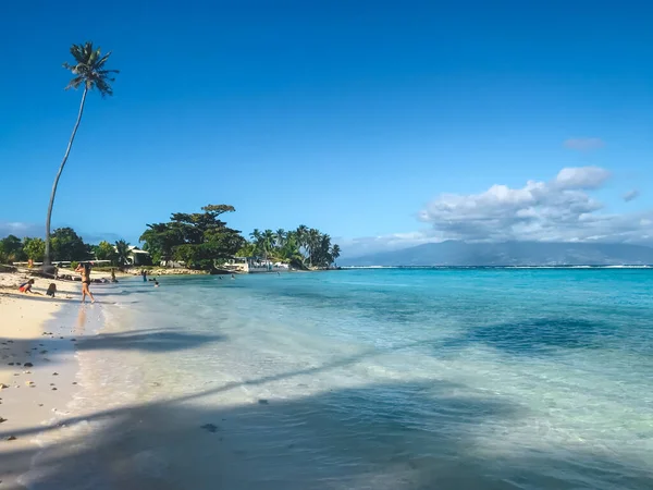 Błękitna Laguna Wodna Tropikalnej Plaży Wyspie Koncepcja Idealnego Miejsca Spoczynku — Zdjęcie stockowe