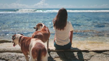 İki kahverengi köpeği olan bir kadın deniz kıyısında otururken rahatlıyor. Sahilde köpeklere sarılıp birlikte okyanus dalgalarını seyretmek. İnsanlar ve hayvanlar hafta sonunun tadını çıkarıyorlar, sakin sakin sakin, güzel doğa.