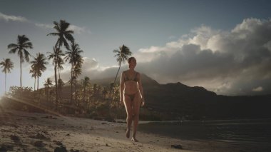 İnsanlar yaz tatilinde tropik cennet plajlarını rahatlatır. Fransız Polinezyası 'nda kumlu plajda güzel bir kadın yürüyor. Uzun palmiye ağaçları kıyıya vurur, egzotik adada inanılmaz bir gün batımı vahşi doğa