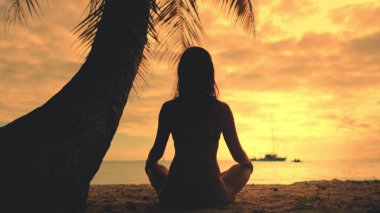 Kız gün batımında kumlu plajda yoga pozunda oturuyor. Kadın palmiye ağacının altında meditasyon yapıyor, parlak turuncu gökyüzü. Nilüfer çiçeğindeki kız silueti doğanın tadını çıkarıyor. Tropik tatil turizmi tatili. Arka plan