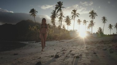 Genç bir kadın, Moorea 'da gün batımında palmiye ağaçları olan el değmemiş bir sahilde rahatlatıcı bir yürüyüşün tadını çıkarıyor. Fransız Polinezyası. Güneş palmiye ağaçlarının arkasında batıyor, güzel bir altın parıltısı yaratıyor.