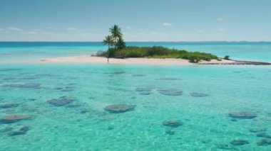 Küçük bir ıssız adanın hava aracı görüntüsü. Palmiye ağaçları kristal berrak turkuaz suyla çevrili. Tropik bir tatil kaçamağı için mükemmel bir görüntü.
