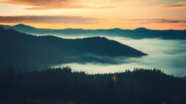 Karpatlar 'ın dağlarında, Ukrayna' da, aydınlatıcı sisli dağ sıralarını aydınlatan altın saat gün doğumu nefes kesici bir doğal manzara yaratıyor.