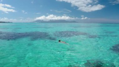 Egzotik adada kristal mavi suda şnorkelle yüzen bir kadın. Mercan resifini, su altında deniz yaşamını araştırın. Yaz tatilinde açık hava seyahati. Tahiti, Fransız Polinezyası. Hava görünümü