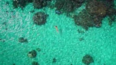 Yukarıdan aşağıya şnorkelle yüzen kristal turkuaz deniz suyu mercan resifi, hava manzarası, insansız hava aracı. Bikinili sıska bir kız açık hava aktivitelerinin tadını çıkarıyor, yaz tatilinde seyahat ediyor. Tahiti, Polinezya.