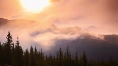 Güneş Karpat Dağları 'nın üzerinden yükselirken, sisli manzarayı ve yükselen ağaçları aydınlatan nefes kesen bir renk gösterisi..